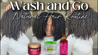 Wash and Go | MIELLE LEAVE IN AND CURL CUSTARD + WETLINE EXTREME GEL | NATURAL HAIR | DIAMOND ALEXUS