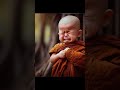 so cute Monk little 🌿🌿 little # #viral #shortvideo #cutebaby #funnybaby #trending #littlebaby