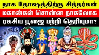 நாக தோஷங்களை தீர்க்கும் நாகலோக ரகசிய பூஜை| சித்தர்கள் சொன்ன ரகசியம்| நாக தோஷம்| #நாகதோஷம் #சித்தர்