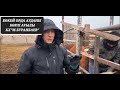 Бөкей Орда Бөрлі ауылында витамин салудамыз КХ