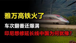 雅万高铁火了，印尼求助中国想修延长线，中国为何犹豫了？