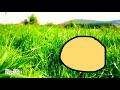 Yellow Blob exploring the Grass