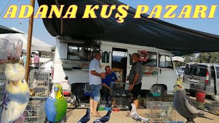 ADANA KUŞ PAZARI | MUHABBET KUŞU FİYATLARI 2021 | TAVUK PAZARI | PAZAR GEZİSİ 08.08.2021