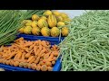 shopping video ചന്തയിൽ പോയി കുറെ പച്ചക്കറിയും മീനും വാങ്ങി grilled