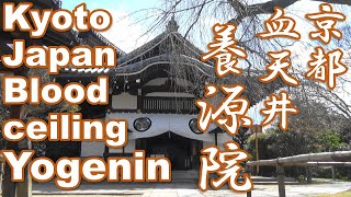 【京都】養源院を歩く [ Kyoto Japan ] Walking in Yogenin. 令2/3/24撮影