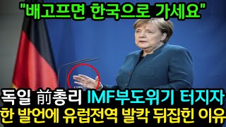 (해외반응)독일왔다간 총리🇩🇪 한마디에 유럽이 한국만 쳐다보는 중🤔🤔