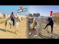 Ajj Pehli Dafa Apni Horse Per Ridding Ki😍 || Apni Horse Ka Name Bhi Rakh Dia😍