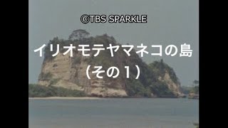 【TBSスパークル】イリオモテヤマネコの島（その１） Iriomote Wildcat Island