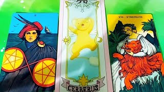 NẾU GẶP GỠ, GẶP MẶT BẠN THÌ PHẢN ỨNG CỦA HỌ SẼ NHƯ THẾ NÀO/ TAROT READING