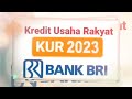 tabel angsuran kur bri 2023 plafon rp 25 juta dengan angsuran rp 800 ribuan apa saja syaratnya