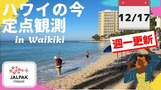 【ハワイの今】ワイキキ定点観測  2024年12月17日