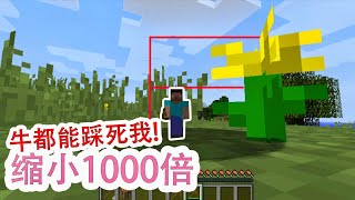 我的世界Mod：身体缩小1000倍，僵尸都看不见我！拇指姑娘的生存