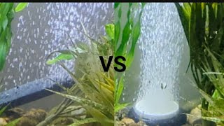 Air Stone vs Air Disc  Product Reviews #honestreview #oxygen #aquarium #productreview,