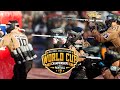 Pro Finals | Dynasty Vs Impact | Nxl World Cup - 2023