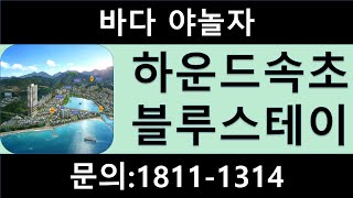 하운드속초블루스테이(대표전화 1811-1314)