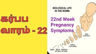 கர்ப்ப வாரம் 22| 22nd Week Pregnancy in Tamil | What to Expect in Tamil | LuckyTips