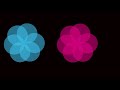 After Effects Tutorial   Flower Blooming in Circle Animation