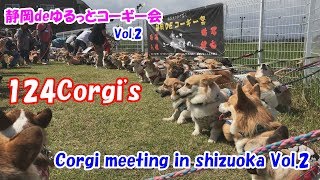 静岡DEゆるっとコーギー会２　Corgi meeting in shizuoka Vol.2