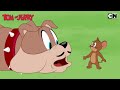 tom u0026 jerry 😺🐭 airborne chaos with nibbles u0026 jerry 🚀 compilation cat and mouse @cnindia