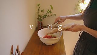 Vlog暮らし｜主婦の日常・暑い日に食べたい麺類アレンジレシピ