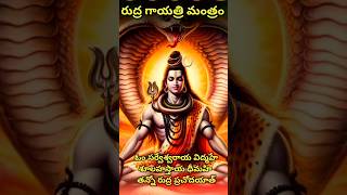 రుద్ర గాయత్రి మంత్రం ఓం నమః శివాయ #hindupilgrimage #lordshiva