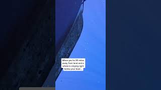 Whale singing below the boat! #ocean #dive #whale #atsea #openocean #whalesong