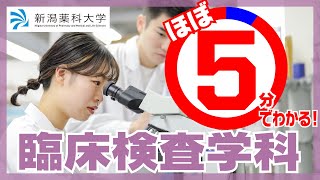 新潟薬科大学／医療技術学部　臨床検査学科