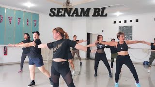 SENAM BL SS BODYFIT