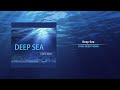 Chris Bessy - Deep Sea