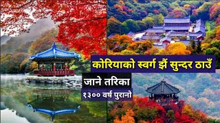 कोरियामा भेटिएको स्वर्ग झैं सुन्दर ठाउँ | पुग्ने तरिका | १३ सय वर्ष पुरानो घर , 내장산 단풍 놀이,