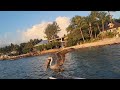 Pelican didn't expect me