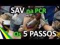 Suporte Avançado na PCR, no APH Móvel | Os 5 Passos | Aula Prática