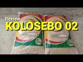 Review benih padi KOLOSEBO 02