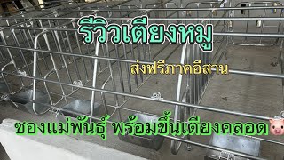 ซองแม่พันธุ์ เตียงคลอดหมู อุปกรณ์ทุกชนิด