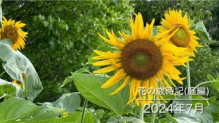 花の歳時記 (庭編)2024年7月