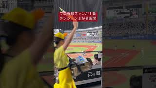 プロ野球ファンが1番テンション上がる瞬間⚾️#プロ野球#千葉ロッテマリーンズ#福岡ソフトバンクホークス#zozoマリンスタジアム