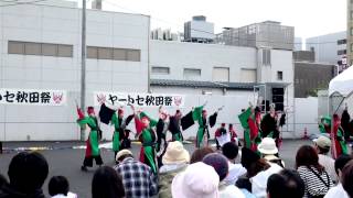 【横城小町】150628ヤートセ秋田祭り（艶美_ステージ）