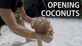 Easiest way to open coconuts on desert islands