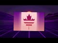 flags in synthwave style flag animation