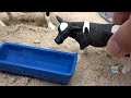 farm animal toys in the sandbox