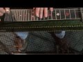 Pedal Steel - Merle Haggard's 