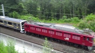 EF81 140+209系 配給列車 配9146レ(KY出場)