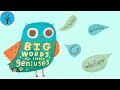 Big Words For Little Geniuses by Susan and James Patterson & Illustrated by Hsinping Pan  I Read Alo