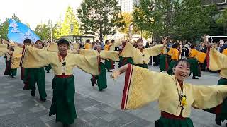 【東京学生“生っ粋】第23回ドリーム夜さ来い祭り 2024年11月3日 / 丸の内会場 #dance #yosakoi