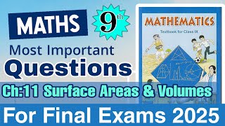 class 9 maths chapter 11 | Most important questions | Final exams 2025 | surface areas and volumes