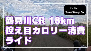 【サイクリング】鶴見川CR 控え目カロリー消費ライド【ロードバイク】