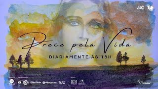 ✨PRECE PELA VIDA (Maria de Nazaré) #1580 | com AD e Libras