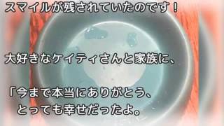 「ありがとうをおかあさんへ」～天国から、愛を込めて～