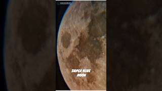 super blue moon! close - up #shortsfeed #bluemoon #shorts