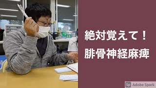 北都保健福祉専門学校 教えて、先生！絶対覚えて、腓骨神経麻痺